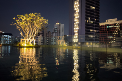 20221225-1835_IMG_1424