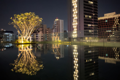 20221225-1928_IMG_1436