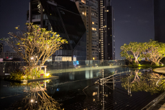 20221225-1930_IMG_1439