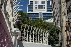 20221226-1201_IMG_1446