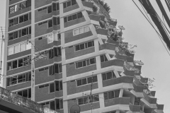 20221226-1202_IMG_1450