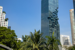 20221226-1208_IMG_1460