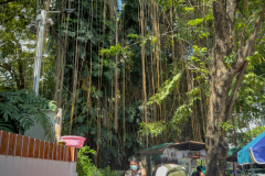 20221226-1217_IMG_1480