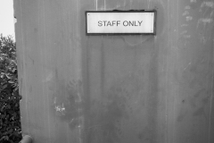 20221226-1228_IMG_1481