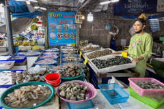 20221228-1500_IMG_1726