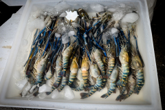 20221228-1501_IMG_1728