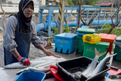 20221228-1502_IMG_1730