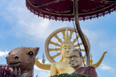 20221228-1524_IMG_1743