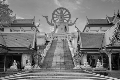 20221228-1524_IMG_1745