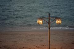 20221228-1820_IMG_1766