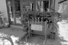 20221229-1202_IMG_1826