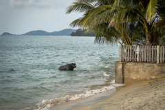 20221229-1605_IMG_1829