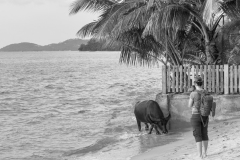 20221229-1606_IMG_1830