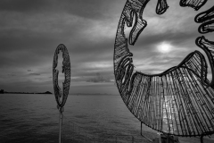 20221229-1651_IMG_1834