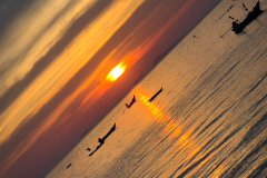 20221229-1801_IMG_1863