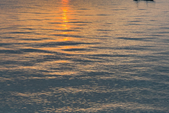 20221229-1803_IMG_1864