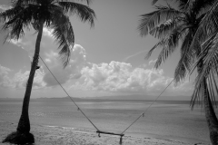 20221231-1106_IMG_1954