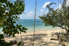 20221231-1117_IMG_1958