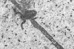 20221231-1405_IMG_1988