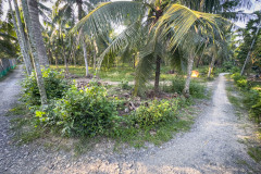 20221214-1628_IMG_0092