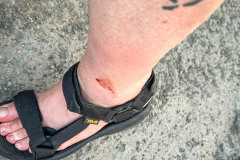 20221214-1659_IMG_0098