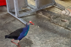 20221216-1913_IMG_0237