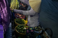 20221217-0547_IMG_0266