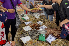 20221217-0708_IMG_0351