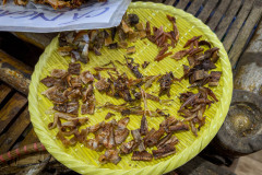 20221217-0709_IMG_0352