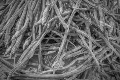 20221217-0711_IMG_0354