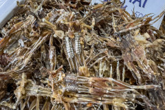 20221217-0711_IMG_0355