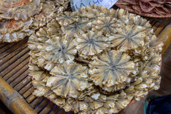 20221217-0712_IMG_0357