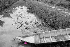 20221217-0746_IMG_0368