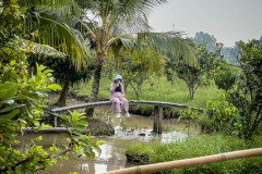 20221217-0746_IMG_0369