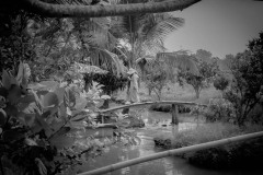 20221217-0746_IMG_0370