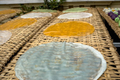 20221217-0837_IMG_0404