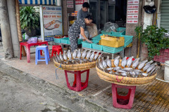 20221217-1017_IMG_0440