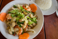 20221217-1324_IMG_0445