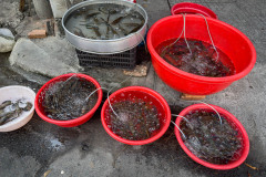 20221217-1445_IMG_0456