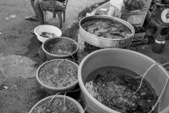 20221217-1445_IMG_0457