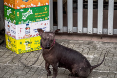 20221215-1619_IMG_0131