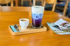 20221210-0905_IMG_9525-2-scaled