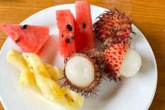 20221210-0943_IMG_9529-scaled