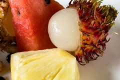 20221210-0947_IMG_9534-scaled