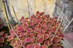 20221210-1325_IMG_9601