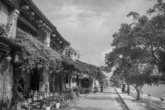 20221210-1347_IMG_9656-scaled