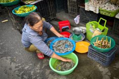 20221210-1544_IMG_9698-scaled