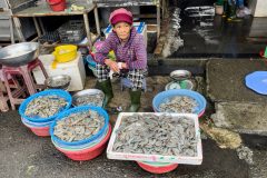 20221210-1545_IMG_9700-scaled