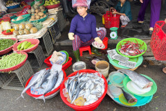 20221210-1546_IMG_9702