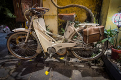 20221210-1732_IMG_9758